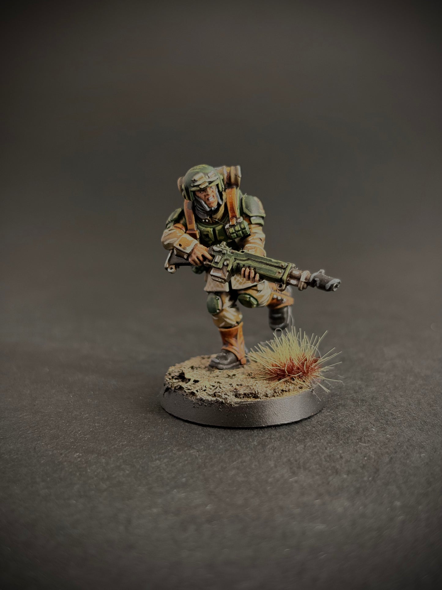 Cadian Shock Troops — Full Platoon, Hand-Painted (20 Miniatures)