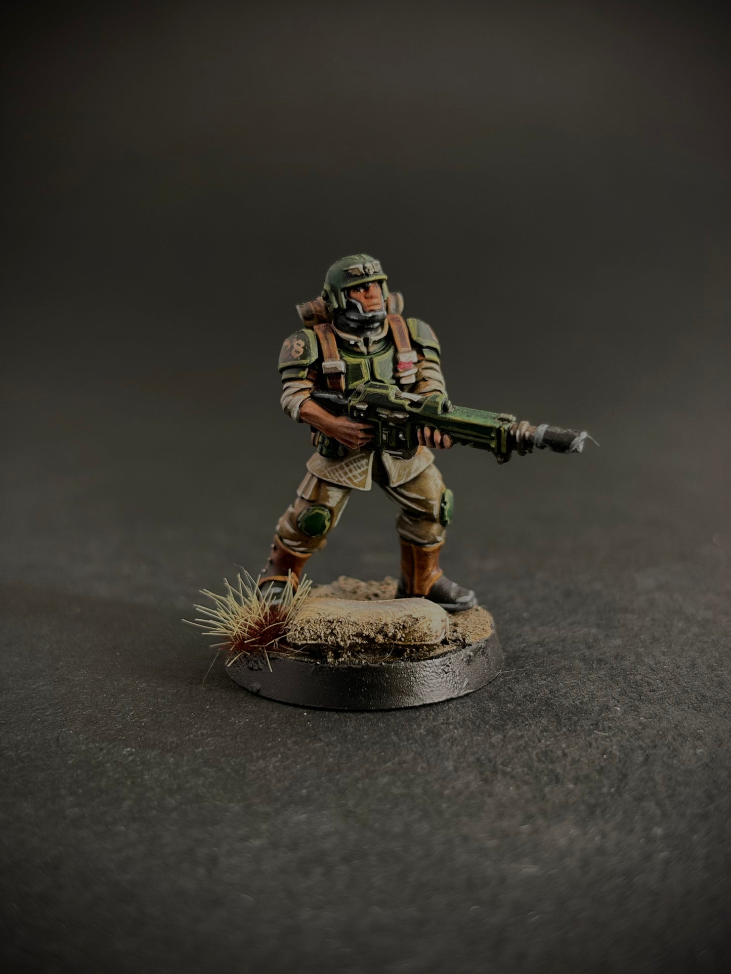 Cadian Shock Troops — Full Platoon, Hand-Painted (20 Miniatures)