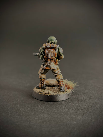 Cadian Shock Troops — Full Platoon, Hand-Painted (20 Miniatures)