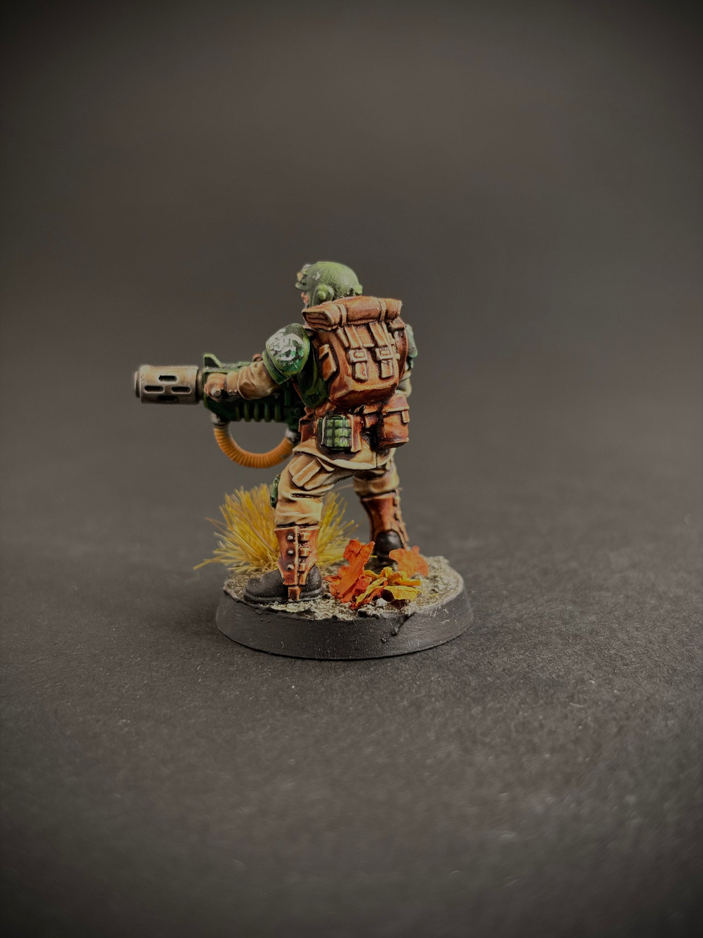 Cadian Shock Troops — Full Platoon, Hand-Painted (20 Miniatures)
