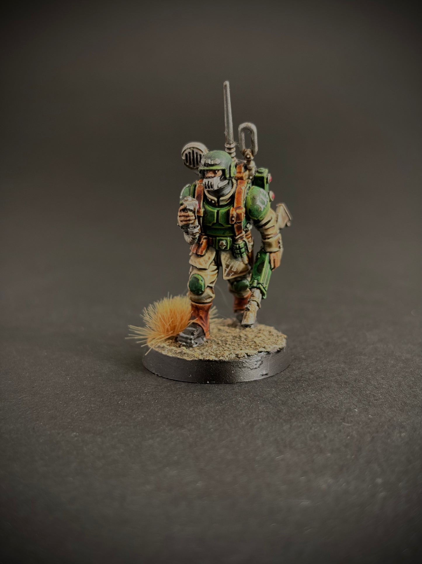 Cadian Shock Troops — Full Platoon, Hand-Painted (20 Miniatures)