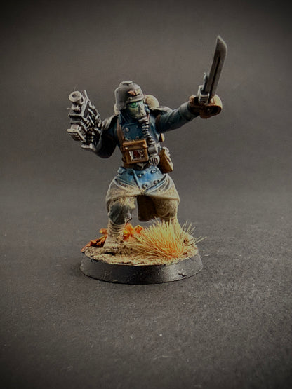 Death Korps of Krieg — Full Platoon, Hand-Painted (20 Miniatures)